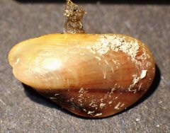 &copy;  Thijs de Boer